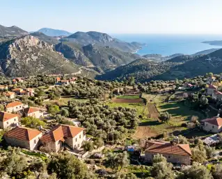 Sarıbelen