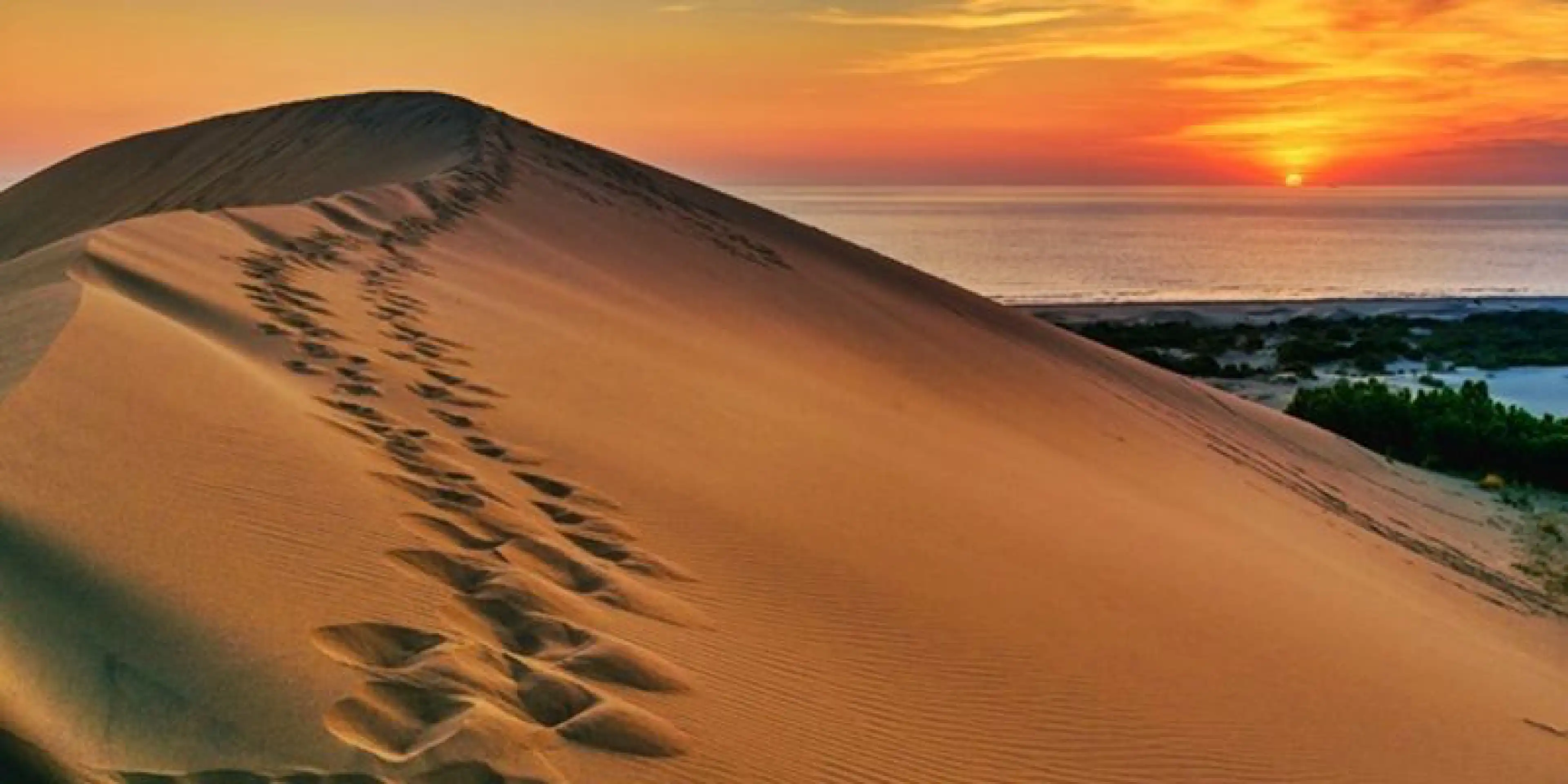 Patara